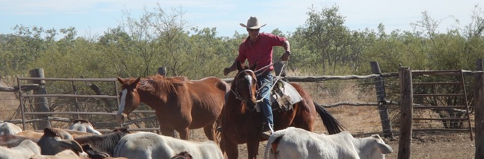 Australia cowboy