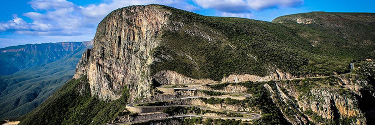 natuur_angola_berg_weg_bomen_scherpebocht_pb