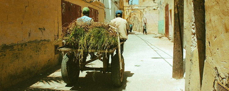 Stad Algerije