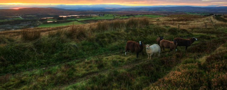 ierland_750x300px