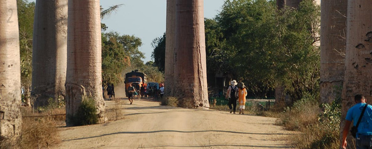 madagascar_750x300px