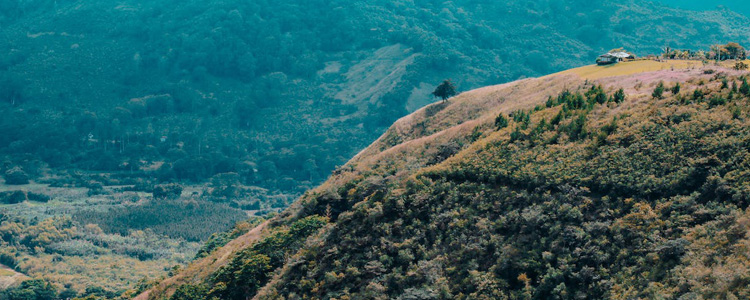 	midden-amerika_750x350px