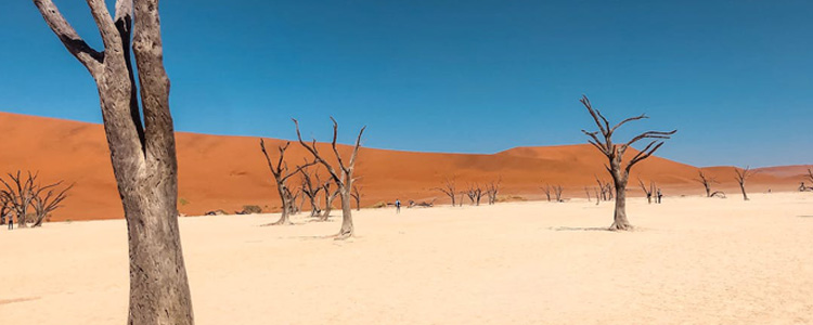 mozambique_750x350px