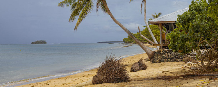 samoa_750x350px