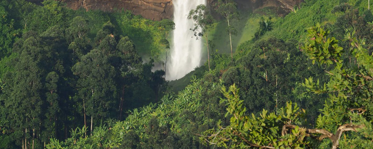 uganda_750x350px