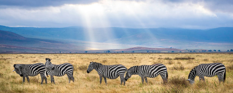 tanzania_750x300px