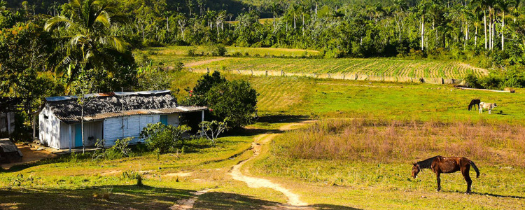 trinidad_750x300px