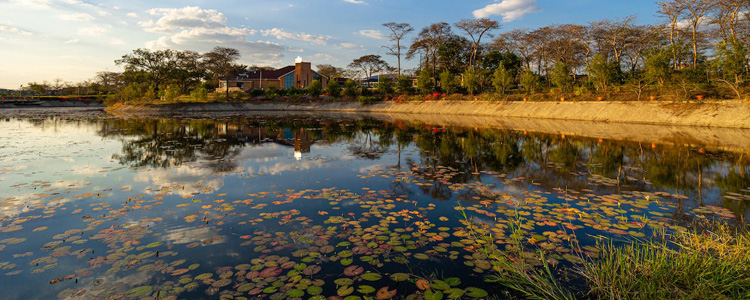 zambia_750x300px