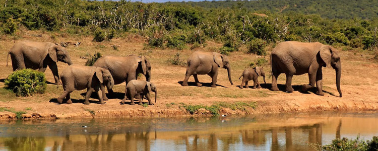 zuid-afrika_750x300px